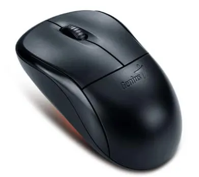 Genius introduces a new wireless optical mouse: the NS -6000