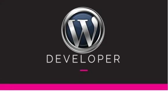 plugin and themees wordpress developer