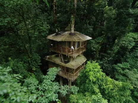 Nature's Beauty: Top 8 World's Coolest Treehouses