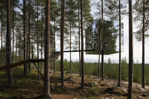 Nature's Beauty: Top 8 World's Coolest Treehouses