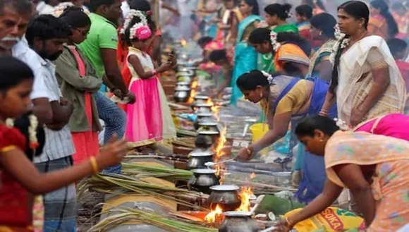 Pongal 2023: Best places to visit in Tamil Nadu during this auspicious  festival