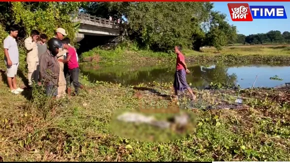 Assam: Severed Head Found Under Singia Bridge in Dhakuakhana