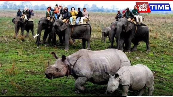 Assam Govt’s Five-Star Hotel Plans Near Kaziranga Hit Roadblocks