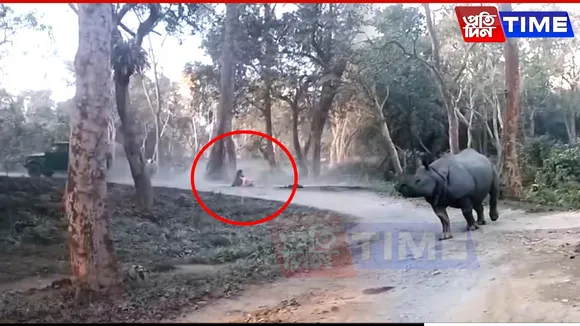 Close Call at Kaziranga: Woman Falls in Front of Rhinos, Captured on Camera