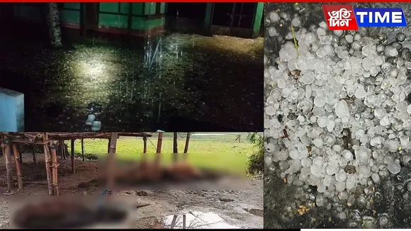 Assam: Storm Wreaks Havoc in Barak Valley; Lightning Kills Cattle in Majuli