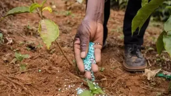 Union Cabinet Approves Rs 10,601 Cr Namrup Fertilizer Plant in Assam