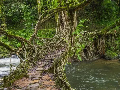 Meghalaya’s Living Root Bridges in Tentative List of World Heritage Site