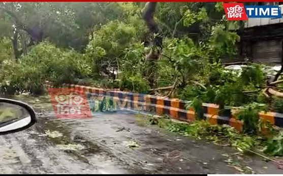 Thunderstorm Hits Delhi, Normal Life Disrupted
