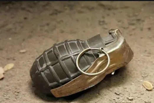 Mystery Shrouds Recovery Of Grenade Under Delhi Flyover