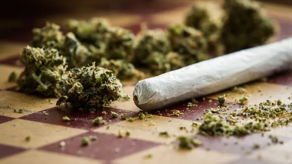 Cannabis Weighing 70Kg Seized in Assam's Tamulpur