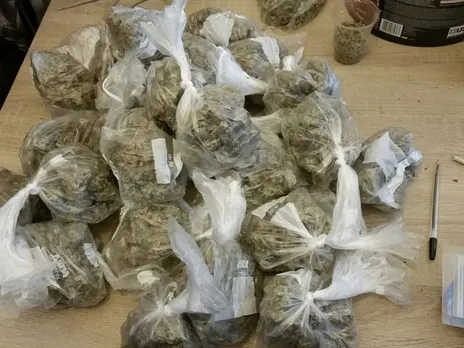 Assam: Massive Cannabis Consignments Held In 2 Separate Busts