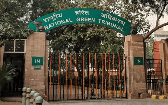 3-Member Committee Formed To Find Culprits Behind Illegal Cutting Of 6,000 Trees