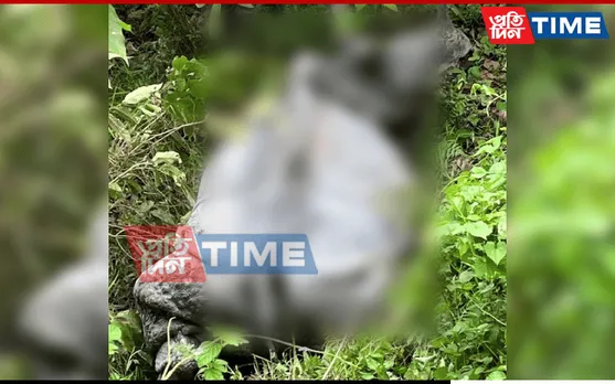 Rhino Carcass Found at Orang National Park in Assam