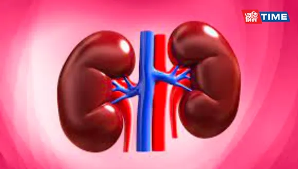 World Kidney Day 2023: Theme , Significance