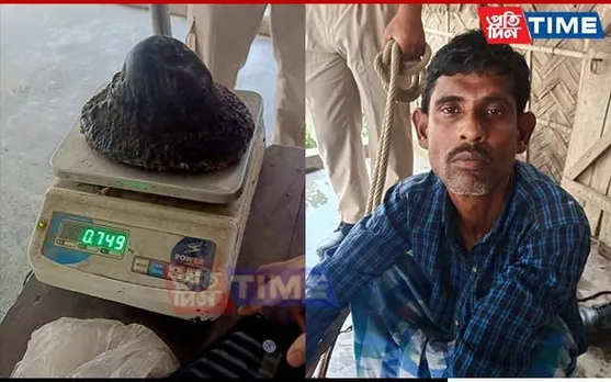 STF Operation to Nab Rhino Poachers Continue in Nagaon