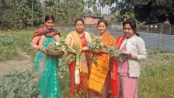 Teachers 'Gone Fishing': This Assam School Farms Fish, Vegetables For Mid-Day Meal