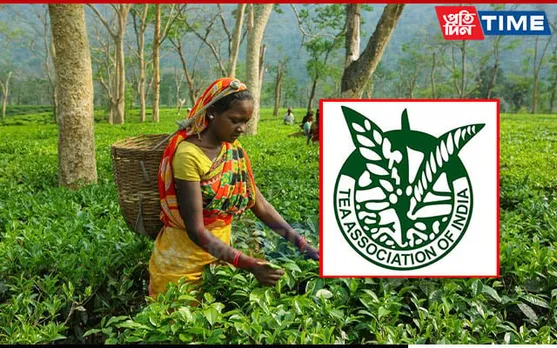 Tea Association of India Recommends Hourly Wage Rate for Workers