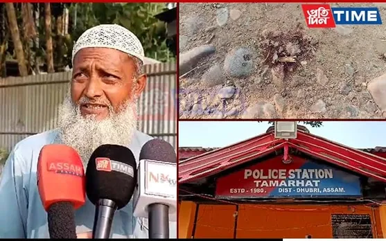 Cattle Smuggler Shot at During Escape Bid in Dhubri, Two Others Arrested 