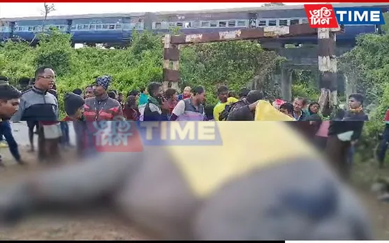 Elephant Dies After Being Knocked Down by Naharlagun–Guwahati Donyi Polo Express
