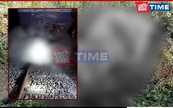 Wild Elephant Killed by Train in Assam; Spate of Elephant-Related Incidents Reported