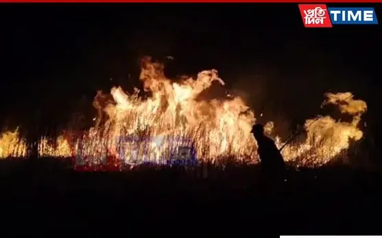 Wildfire In Assam's Dhemaji Guts Several Kilometers Of Forest Land