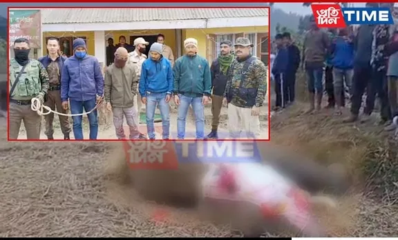 Assam: Illegal Electric Fence Results in Elephant's Tragic Death, 4 Arrested