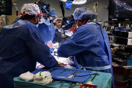 In A First, Pig Kidney Successfully Transplanted Into 62-Year-Old Man