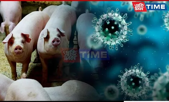 Assam: 4-Month-Old Dies of Swine Flu in Cachar; Second Death In A Week
