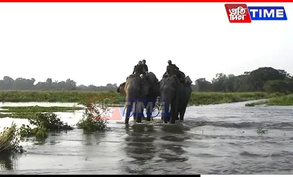 Assam: Traffic Diversion Notification Issued for NH 715 to Protect Wildlife During Floods