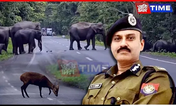 Assam DGP Urges Caution as Floods Bring Wildlife onto Highways