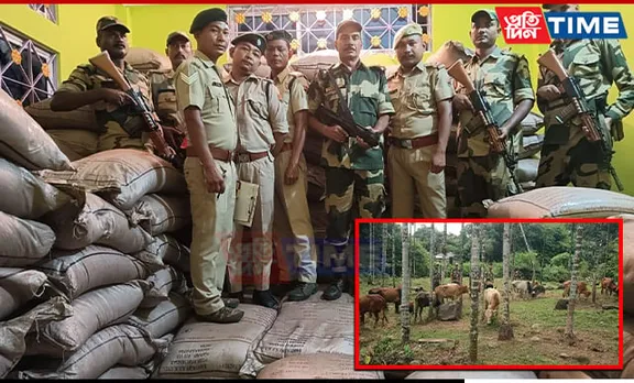 BSF Meghalaya Foils Cattle & Sugar Smuggling Attempts Along Indo-Bangla Border