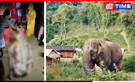 Assam: Woman Killed, Child Injured in Elephant Attack in Goalpara