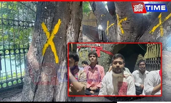 Guwahati Youths Conduct Night Patrol In Dighalipukhuri To Prevent Tree Cutting