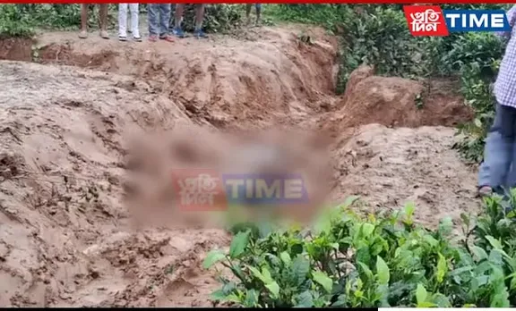 Elephant Calf Found Dead At Dhendai Tea Estate In Assam