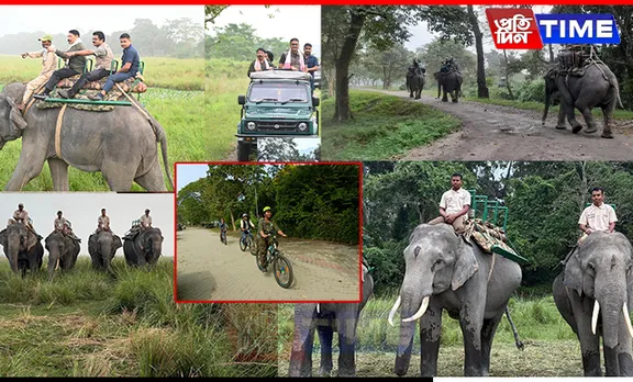 Kaziranga National Park Welcomes Visitors with Expanded Safari Options