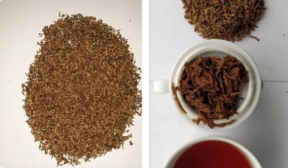 Assam tea creates World Record, sold at Rs 39,001 per kg