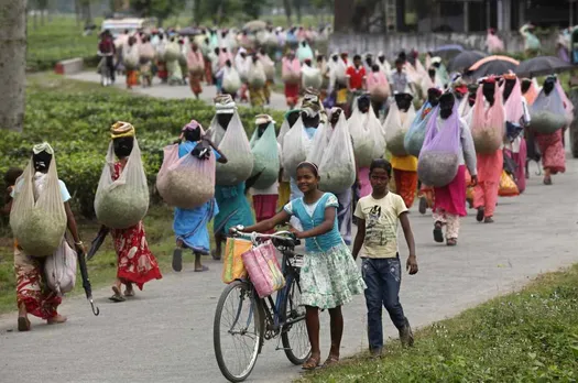 Govt. aid for tea garden workers