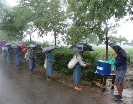 Labourers volunteer to help tea company fight off lockdown