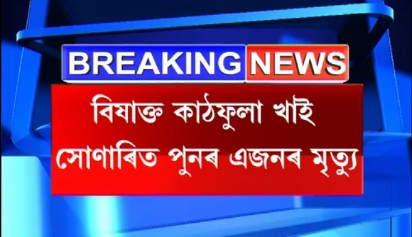 Sonari: Another Dies After Consuming Mushroom