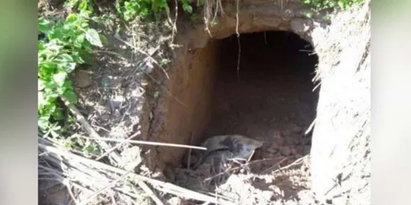 Karimganj: 200-Meter-Long India-Bangladesh Tunnel Discovered
