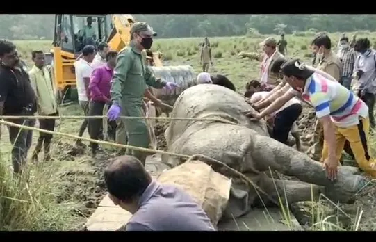 Two Rhinos from Pobitora Translocated to Manas National Park