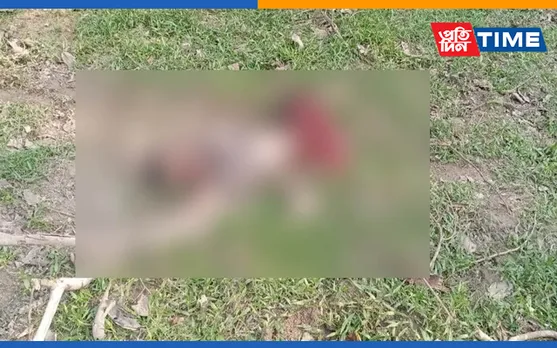 Elephant Gores Its Mahout To Death In Pobitora