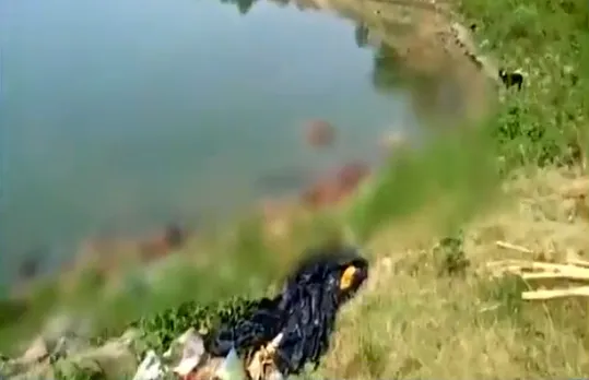 COVID Horror: Over 150 Bodies Found Dumped In Ganga River