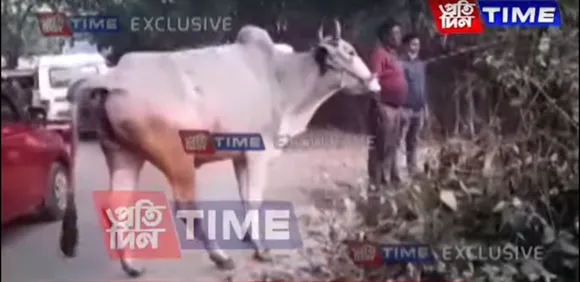 Mekliganj: 12 Police Personnel Injured In Clashes With Cattle Smugglers
