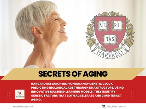Unlocking the Secrets of Aging: New Epigenetic Clocks Provide Insights