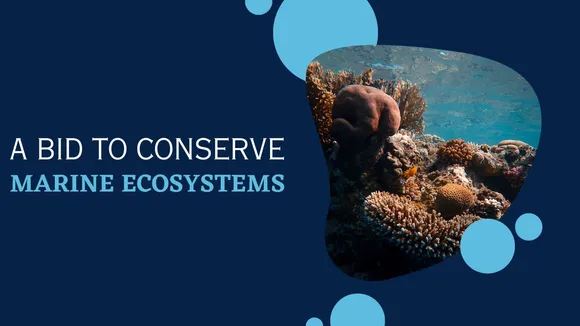 World Oceans Day Urges Action to Save Marine Ecosystems