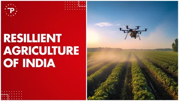 Indian Agriculture's Technological Triumph: Thriving with Limited Resources