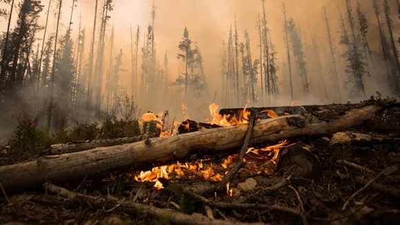 Thousands displaced in wildfires across Alberta, B.C. and northern Ontario