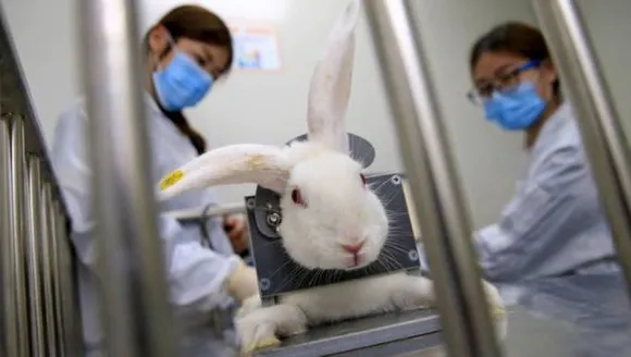 Canada seeks to ban animal testing for cosmetics
