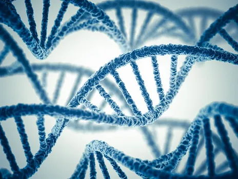 Want to live Longer? Read the findings of DNA study.